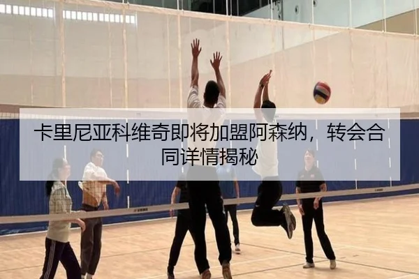 卡里尼亚科维奇即将加盟阿森纳，转会合同详情揭秘